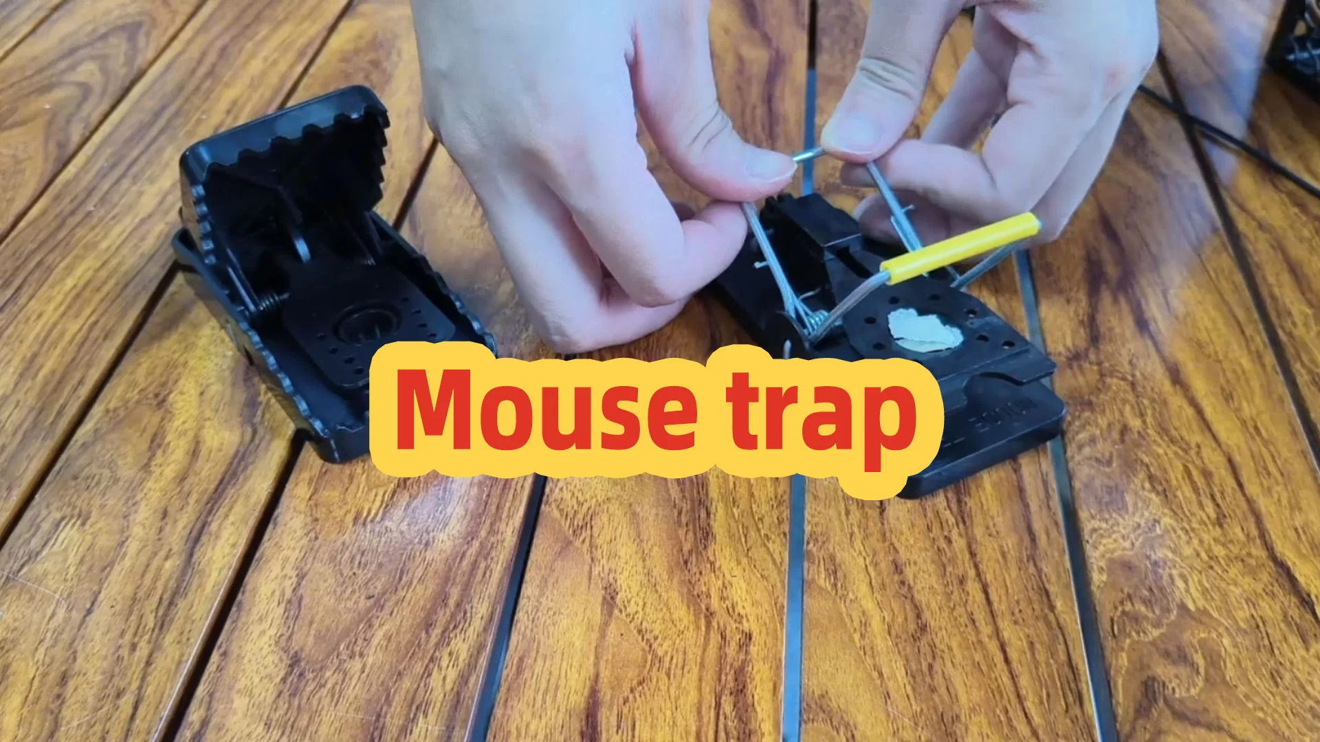 Cara menggunakan jebakan mouse seperti pro: menangkap tikus dengan cepat tanpa membuang umpan